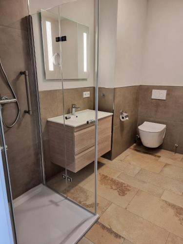 a bathroom with a shower and a sink and a toilet at Appartement 1 mit Terrasse in Wehlenberg