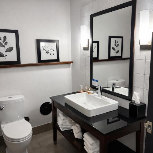 a bathroom with a sink and a toilet and a mirror at Country Inn & Suites by Radisson, Springfield Southeast in Springfield