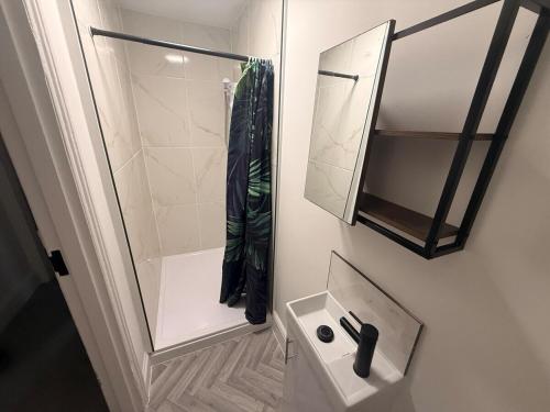 a bathroom with a sink and a shower and a mirror at The Loft Ashley Road in Poole
