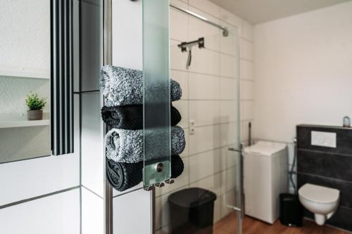 a bathroom with a shower with a glass door at Ferienwohnung Elb-Aue in Burg bei Magdeburg
