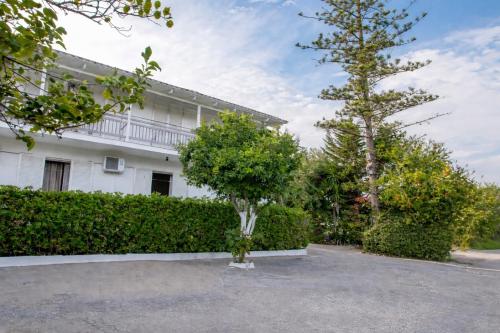 Theodora Studios Best Location In Laganas Next To The Party Area