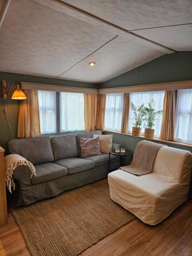 a living room with a couch and some windows at Olm29 Vakantiewoning in het Drents Friese Wold vlakbij Diever Zwembad, Animatie, Restaurant, Wandelen, Natuur in Oude Willem