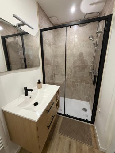a bathroom with a sink and a shower at Charmant Appartement Moderne B in La Roche-sur-Yon