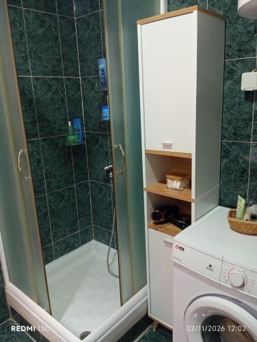 a bathroom with a shower and a washer at Apartman Vuk in Obrenovac