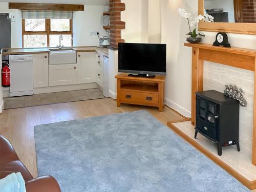 a living room with a television and a stove at Lower Axford Cottage in Callington