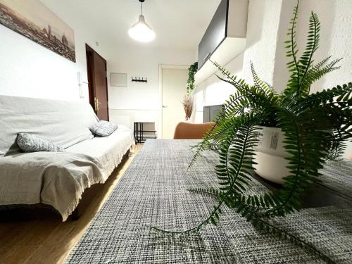 Acogedor Apartamento En Rosaleda Centro