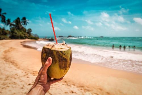 a person holding up a coconut with a straw at Blue Sky Villa Ahangama in Ahangama