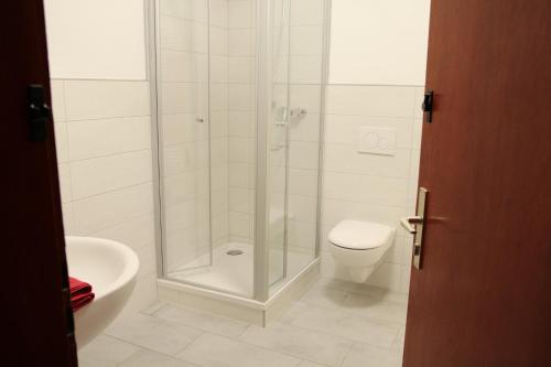 a bathroom with a shower with a toilet and a sink at Herbergskirche Spangenberg - Stimmungsvolle Schlafräume, jedoch ist NUR das Badzimmer beheizt in Spangenberg