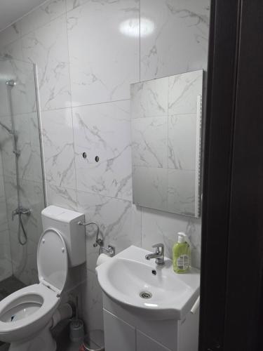 a bathroom with a toilet and a sink and a mirror at Mini River in Sîngeorgiu de Pădure