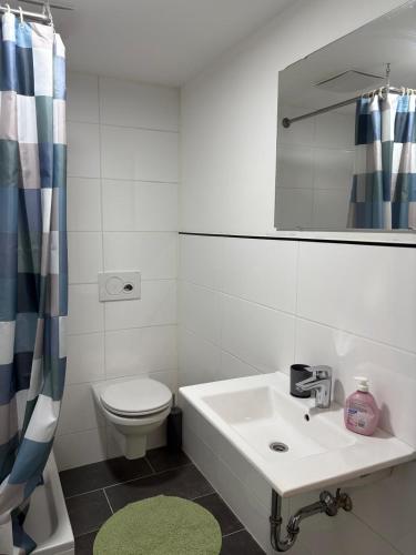 a bathroom with a sink and a toilet and a mirror at Apartmani Ela 2 3 in Sierning