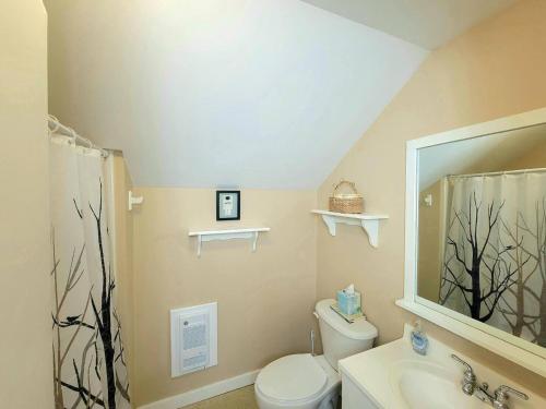 a bathroom with a toilet and a sink and a mirror at Morel Mountain Hideaway in Warren