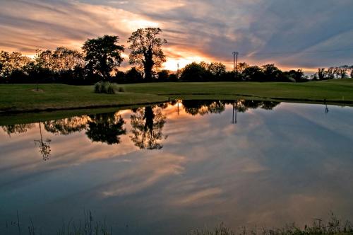 a reflection of the sunset in a pond at Roganstown Hotel & Country Club in Swords