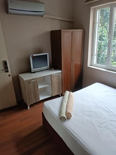 a bedroom with a bed and a tv on a cabinet at Dilara Hotel Pansiyon in Antalya