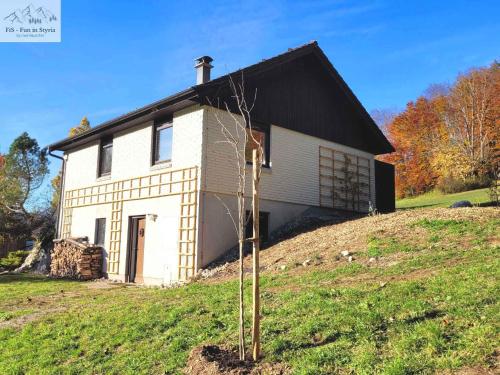 Holiday home in Bad Aussee - Steiermark 55006
