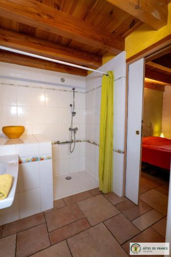 a bathroom with a shower and a sink at Le Gîte de Saint Izaire in Saint-Izaire