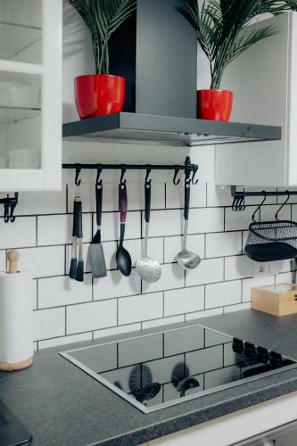 a kitchen with utensils hanging on a wall at Apartment Berglez in Škofja Loka