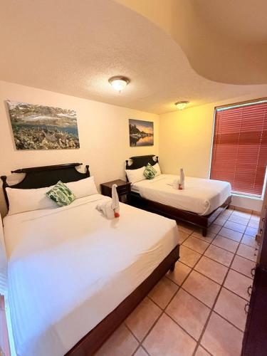 a room with two beds and a window at Mayan Princess Beach & Dive Resort in West Bay
