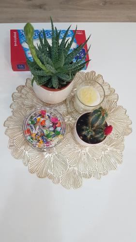 a table with a plate with a cactus and a bowl of candy at Apartmán Tonny in Jáchymov