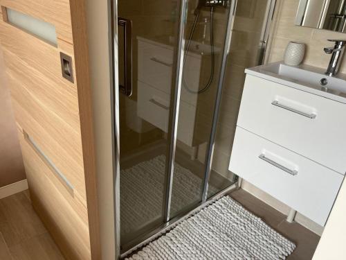 a shower with a glass door next to a sink at Studio climatisé SPA en option in Jacou
