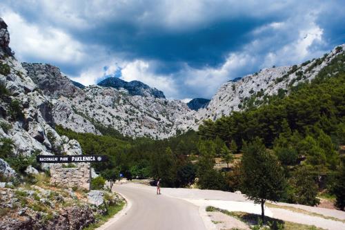 Apartment in Starigrad-Paklenica 6806