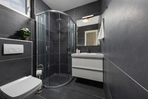 a bathroom with a shower and a toilet and a sink at Villa Aster in Privlaka