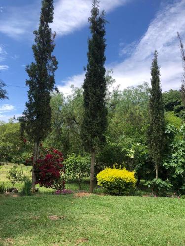 גינה חיצונית ב-Looking Samaipata