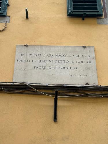 Arte & Piante Vintage