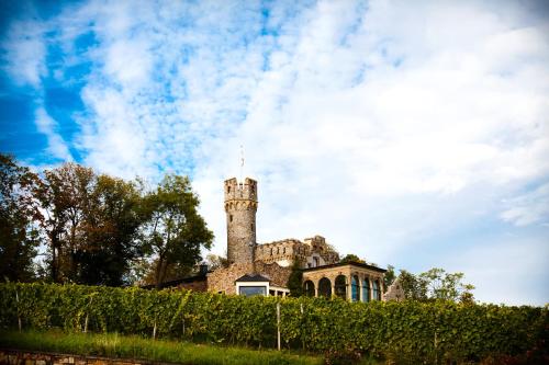 an old building with a tower on top of it at Burg & Gästehaus by Schwarzenstein in Geisenheim