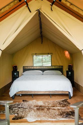 a bedroom with a bed in a tent at GlampKnox Canvas Campground - Tree Solo in Knoxville