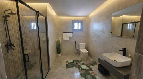 a bathroom with a shower and a toilet and a sink at JANO HOUSE AppartHôtel in Djibouti