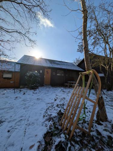 a snow covered yard with a tree and a swing at Chalet HEUREux in Somme-Leuze
