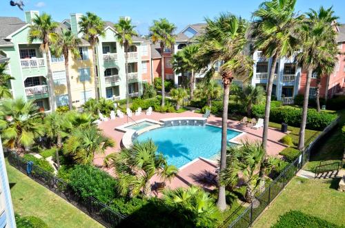 an overhead view of a swimming pool with palm trees at Dawn 916-Hook, Wine & Sinker in Galveston