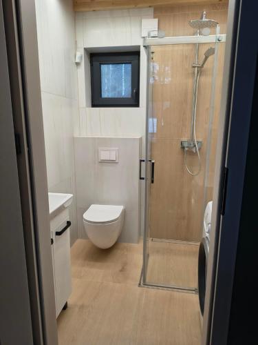 a bathroom with a toilet and a glass shower at Cieniówka, dom w lesie, Kije in Kije