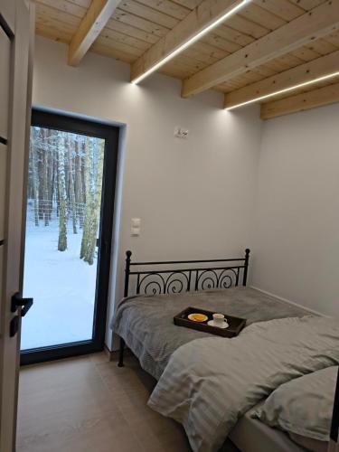 a bedroom with a bed and a sliding glass door at Cieniówka, dom w lesie, Kije in Kije