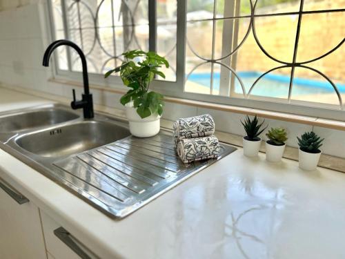 a kitchen counter with potted plants and a sink at Panoramic Ocean View Villa in Is-Swieqi