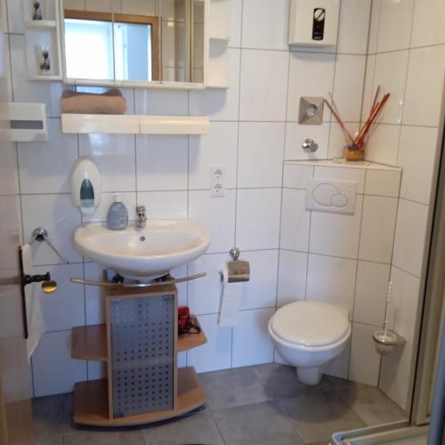 a bathroom with a sink and a toilet at Hotel Haus Irsfeld in Waxweiler