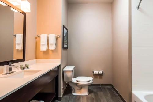 a bathroom with a toilet and a sink at New Roads River Hotel in New Roads