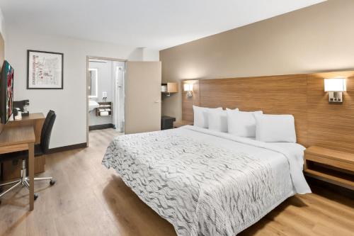 a hotel room with a large bed and a desk at Red Roof Inn PLUS+ Columbus-Ohio State University OSU in Columbus