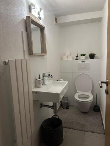 a bathroom with a toilet and a sink and a mirror at Ferienwohnung Louis in Gerolstein