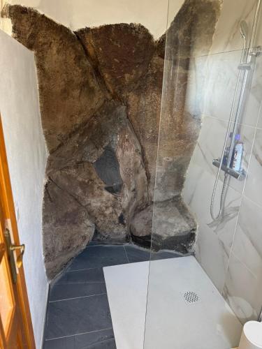 a bathroom with a shower with a rock wall at Casa Roca in Arona