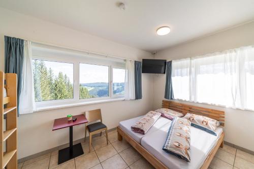 Foto Gästehaus Hebalm - Alleinnutzung bis 50 Personen, 900 m2 2