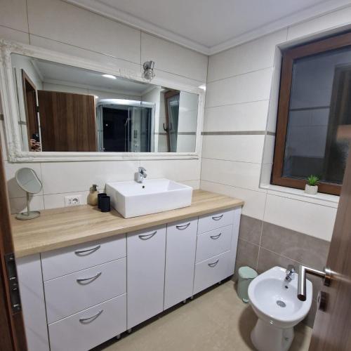 a bathroom with a sink and a toilet at Viilor Panoramic in Baia Mare