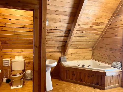 a bathroom with a tub and a toilet and a sink at Mountain Memories - RRG in Rogers