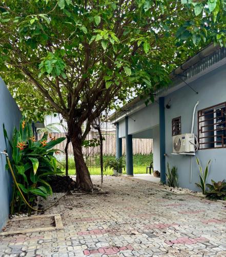 Villa 308