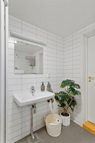 a bathroom with a sink and a mirror and a plant at Harmony apartments - Stavanger sentrum in Stavanger
