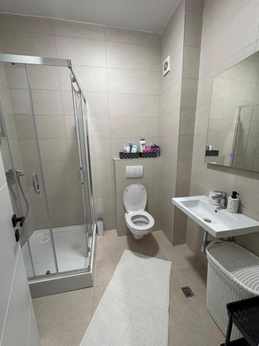 a bathroom with a shower and a toilet and a sink at Stan na dan Lana in Vranješ