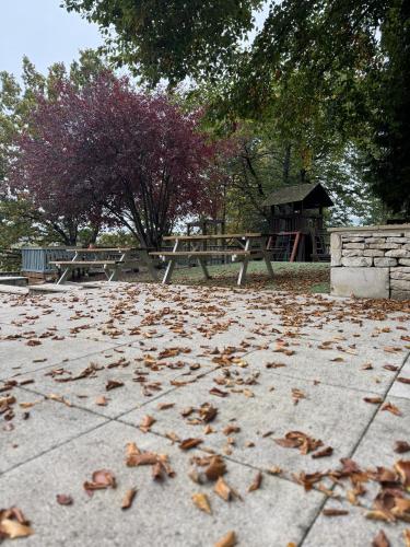 a park with a picnic table and leaves on the ground at The Clothiers Arms in Stroud