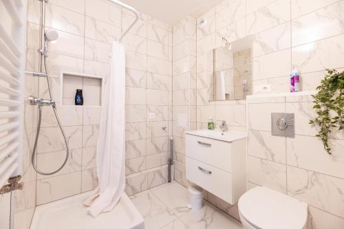 Studio Strasbourg Gare Tram CHU