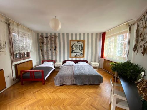 Легло или легла в стая в Apartmani SuperStar
