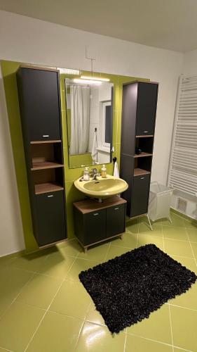 a bathroom with a sink and a mirror at Apartman Staro Petrovo Selo in Staro Petrovo Selo